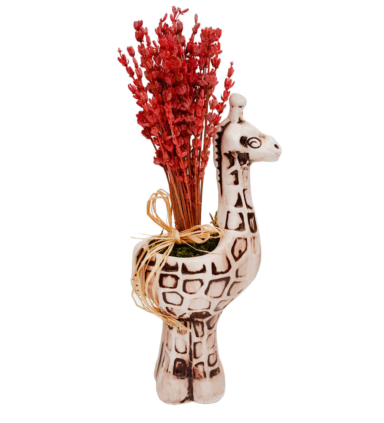 Zürafa Saksıda  Kurutulmuş  Lavanta Çiçekleri