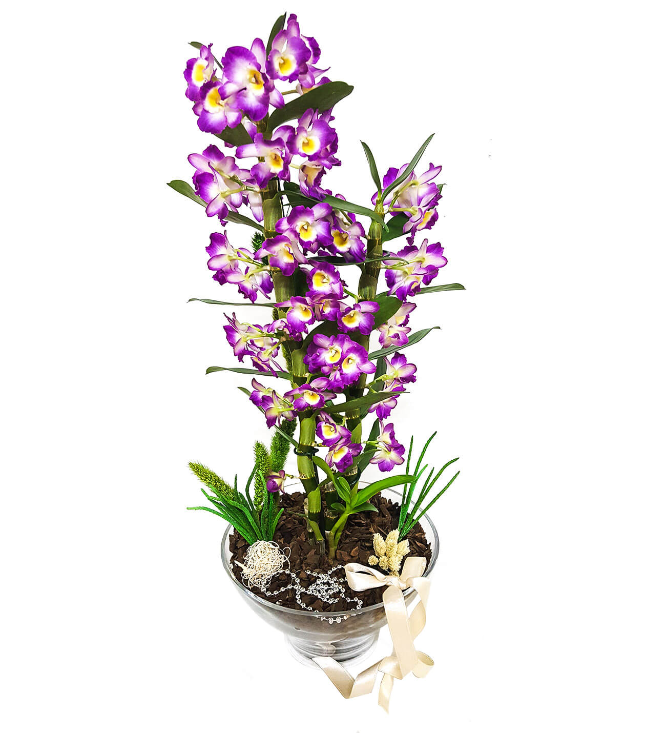 Dendrobium Deluxe Pembe Orkide