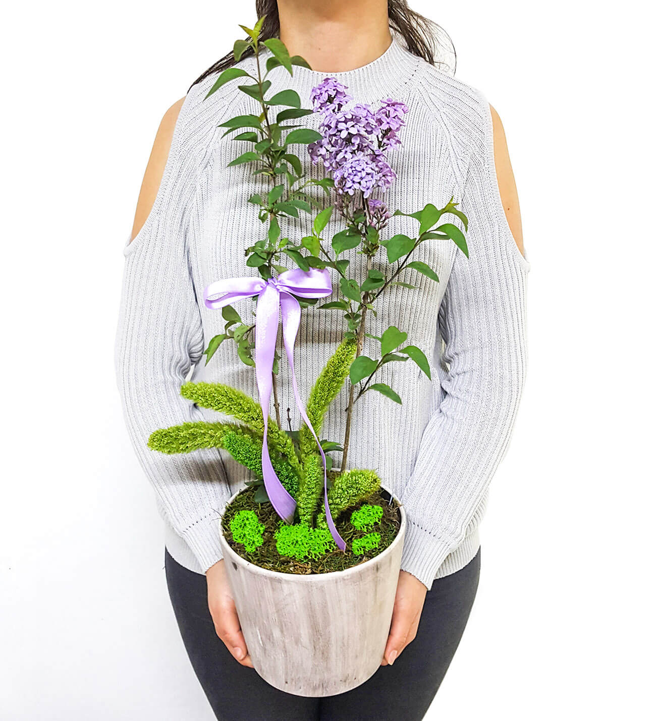 Syringa Leylak