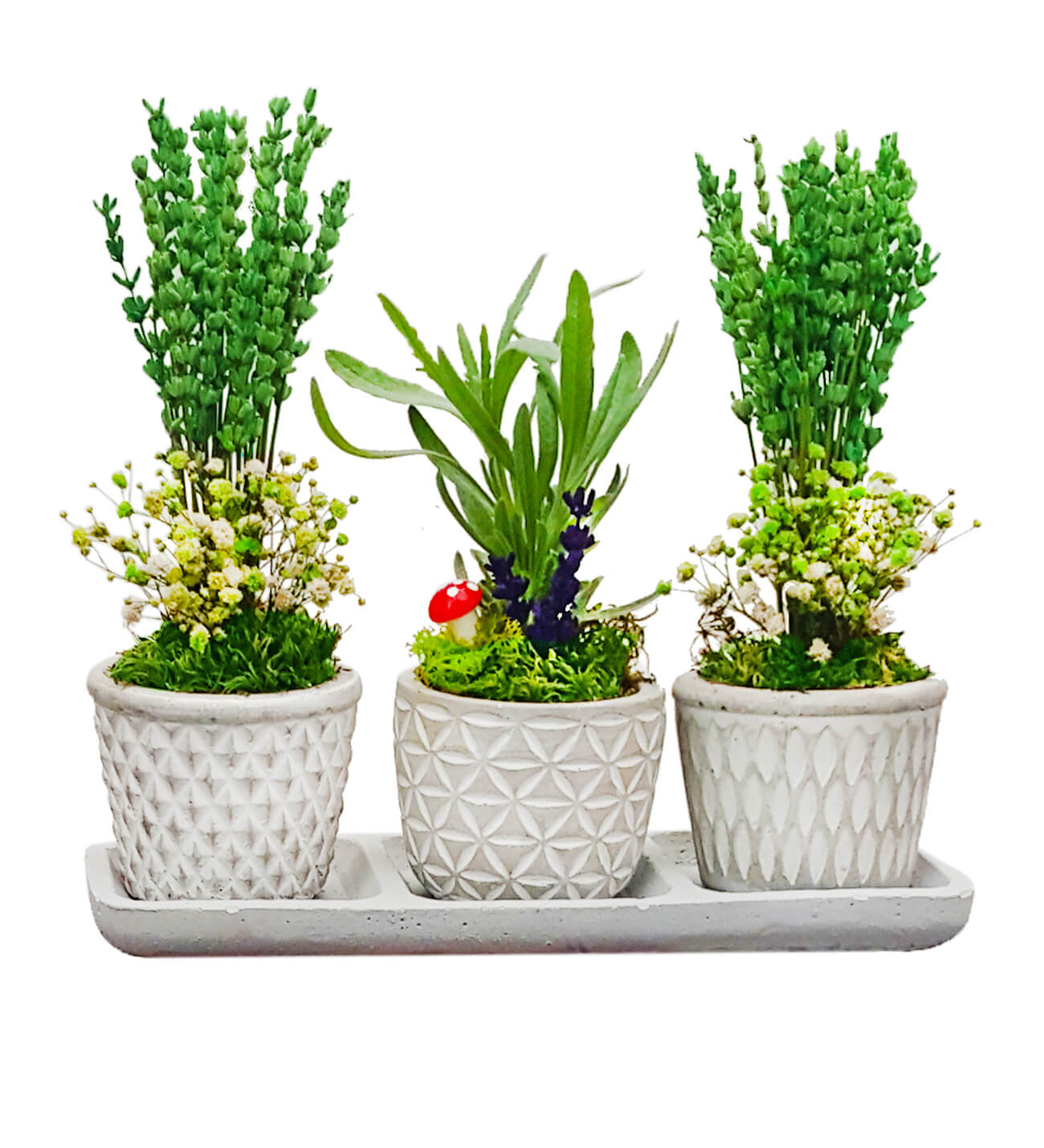 Lavanta Green Snow