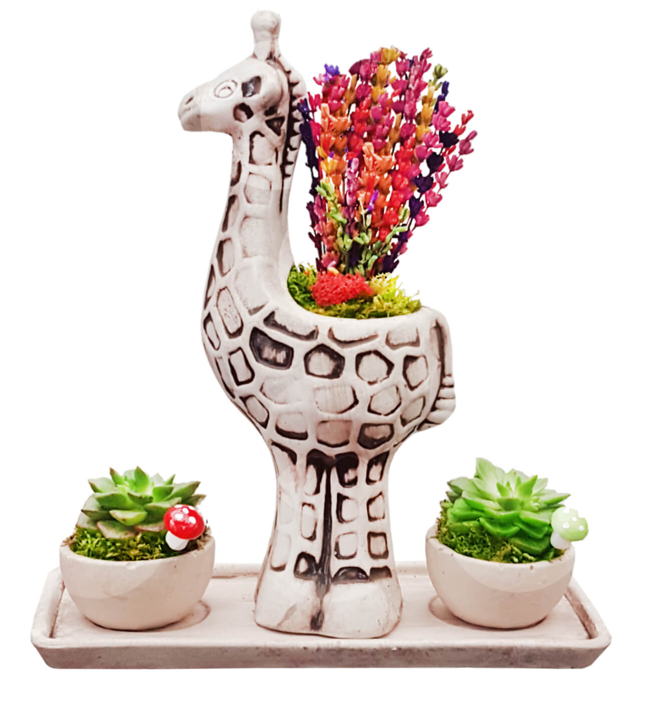 Amazon Serisi Zürafa Saksıda Lavanta ve Sukulent Set