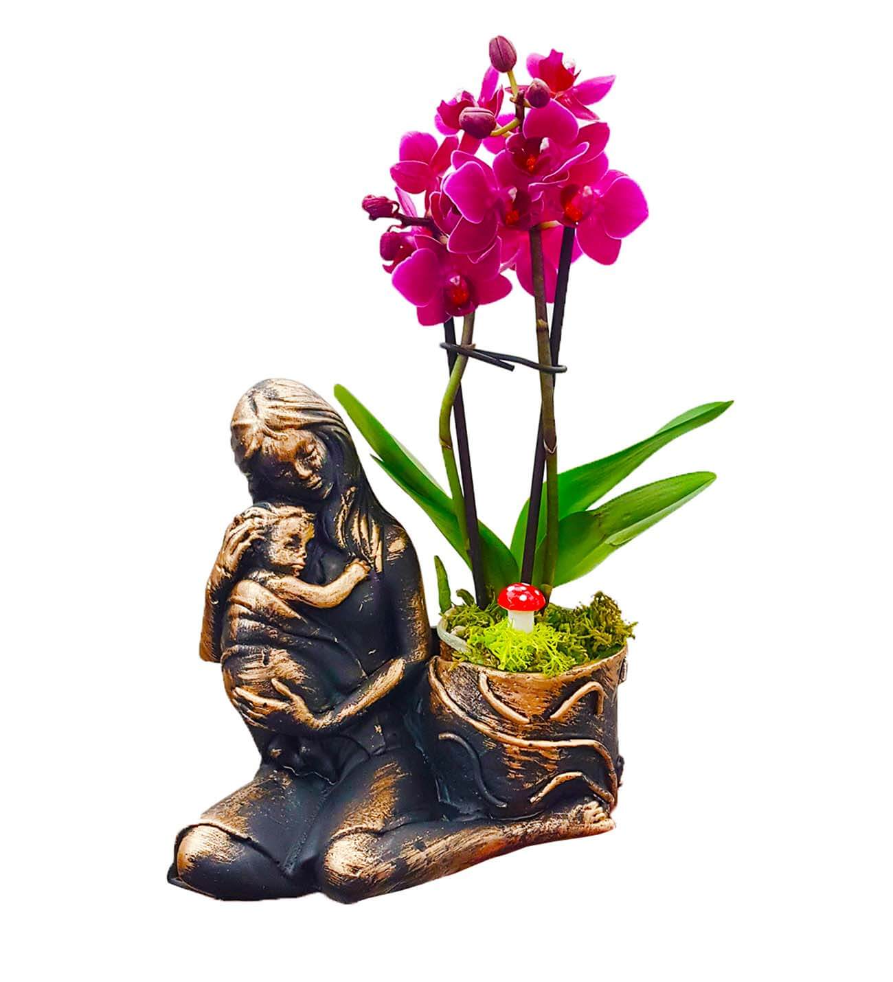 Statue Gold Serisi Phalaenopsis Orkide
