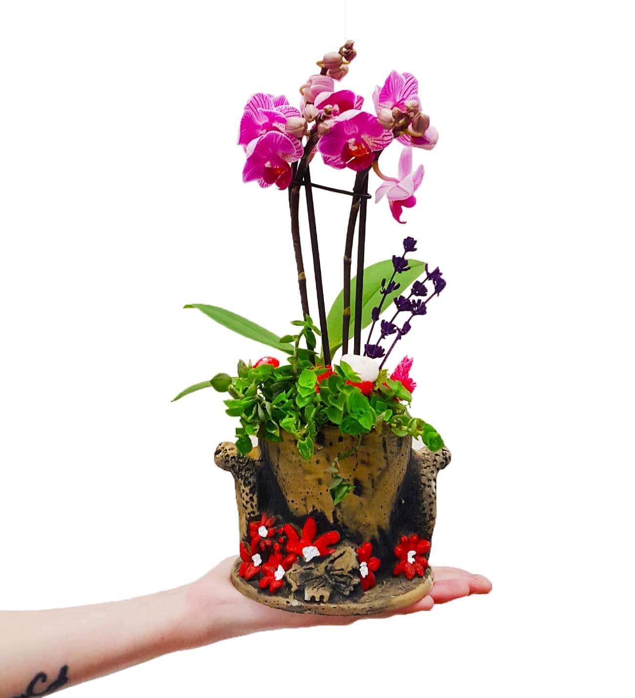 Flower Garden 2 Dal Phalaenopsis Orkide