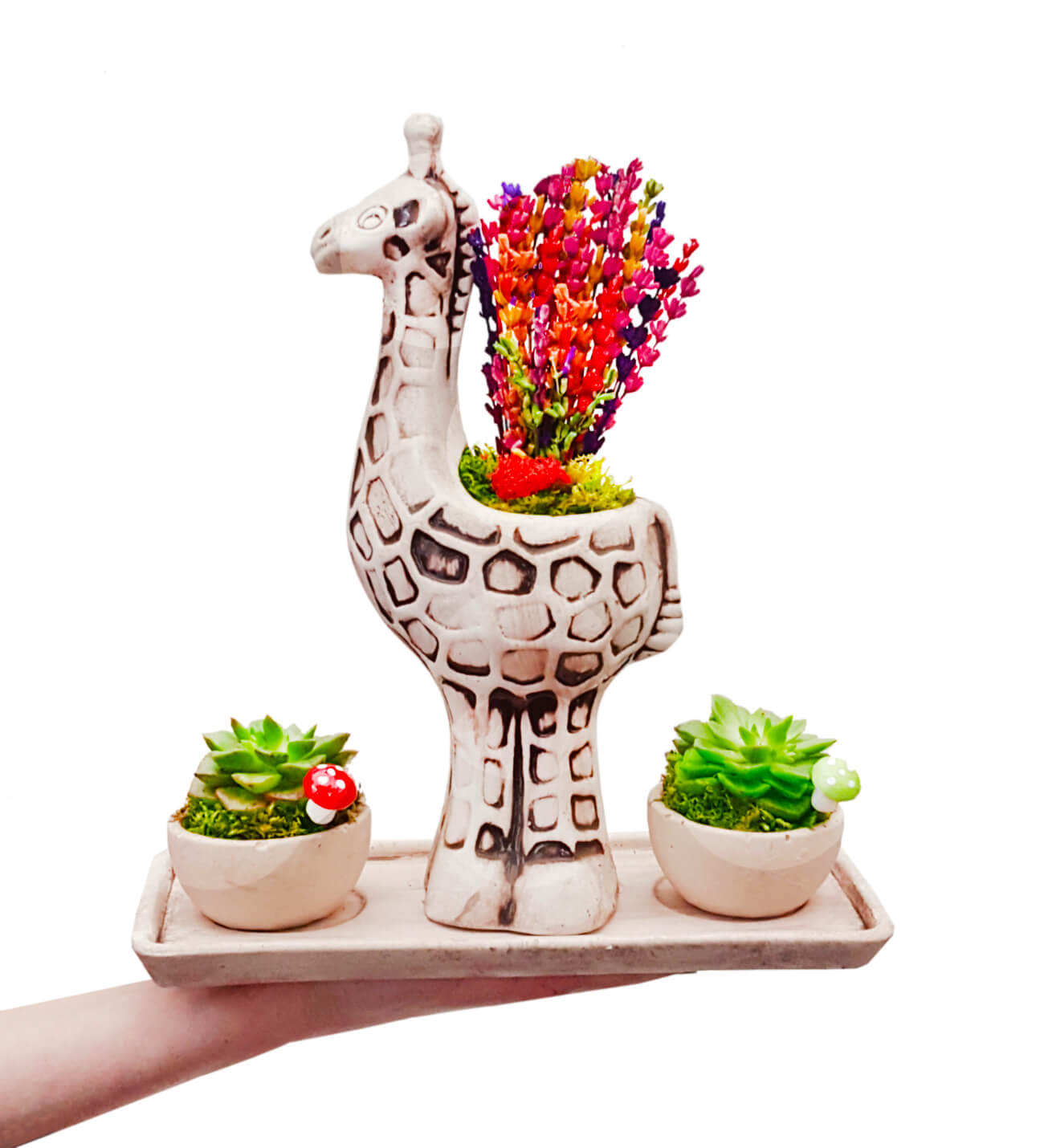 Amazon Serisi Zürafa Saksıda Lavanta ve Sukulent Set