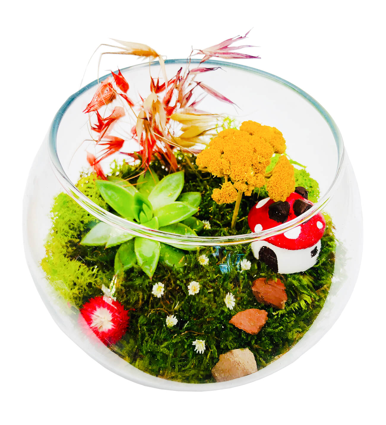 Mushroom House Terrarium