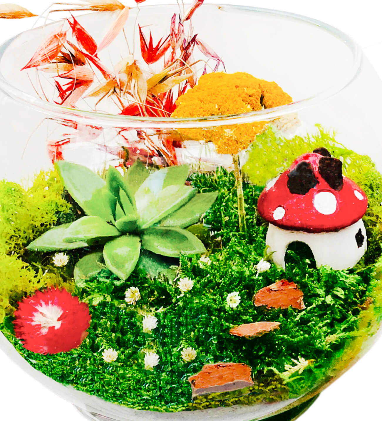 Mushroom House Terrarium