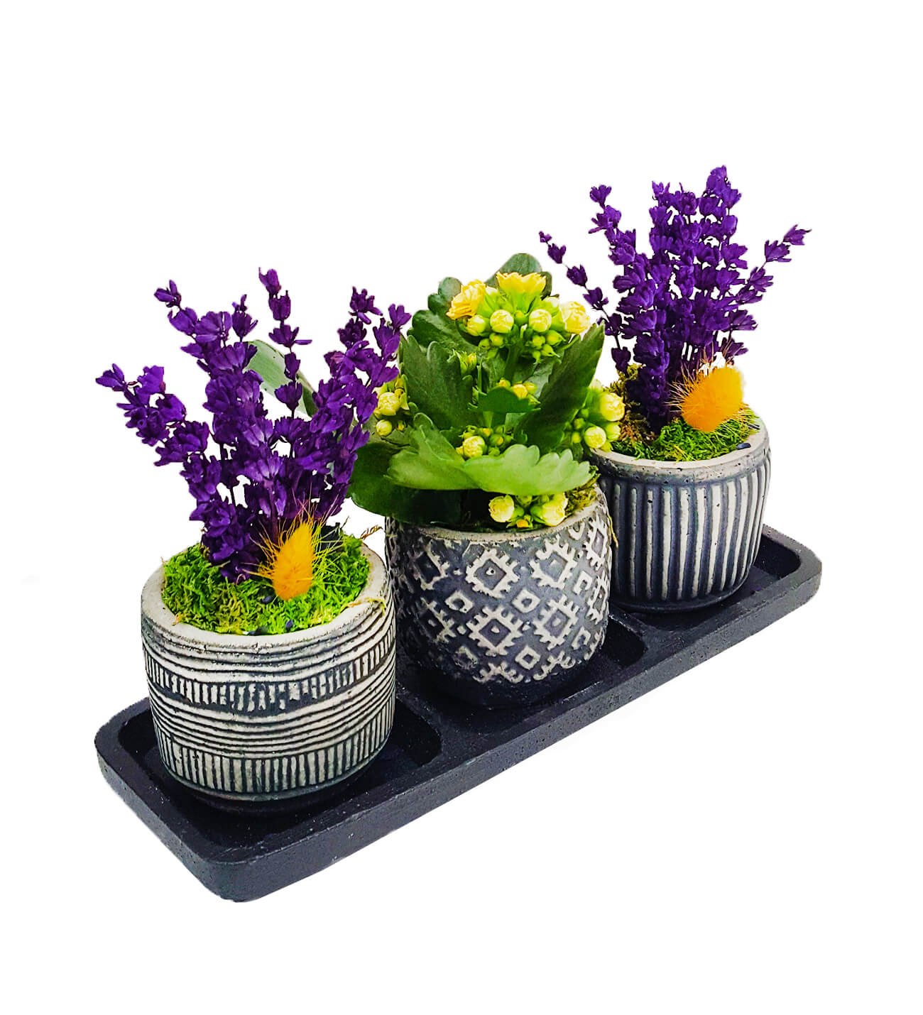 Vignette Serisi Mor Lavanta ve Kalanchoe